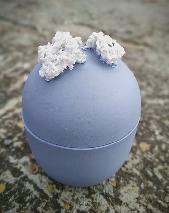 ASH Collection projektant