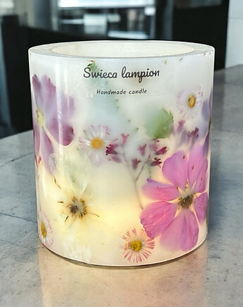 Lampion Botaniczny -Zwiewne Kosmosy, ploty doroty