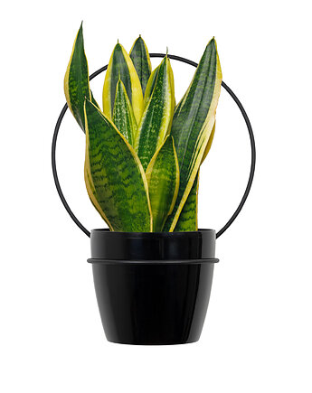 Kwietnik na ścianę ścienny Koło 30 cm, A.D Home