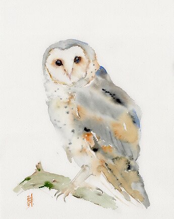 Oryginalna akwarela. Sowa Płomykówka, alquadro