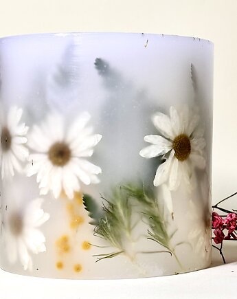 Lampion Botaniczny -Stokrotkowe Love, ploty doroty