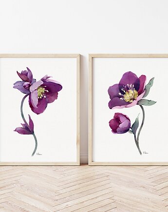 Ciemiernik komplet dwóch grafik, Urszula Steczkiewicz