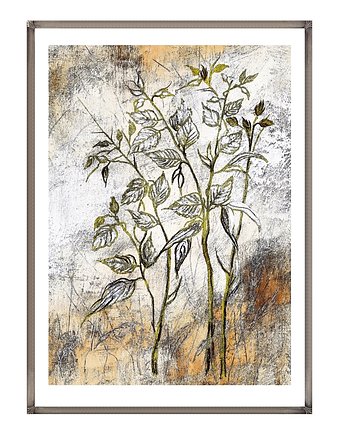 Polne zioła, botanika, oryginalny plakat 50/70 cm, Galeriai