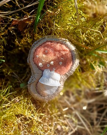 Przypinka z grzybem, Splot tapestry