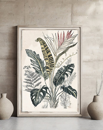 Plakat rośliny, ArchiBotanica
