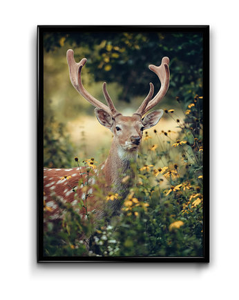 Plakat Jelonek, Bury Lis