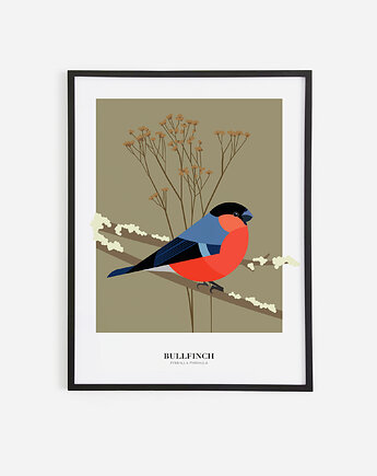 Plakat Gil Bullfinch 30 x 40 cm, JUSTYNA WIĘSEK ART