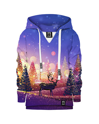 Bluza Chłopiec DR.CROW Sunny Winter Christmas, DrCrow