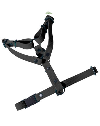 Szelki guard regulowane dla psa wodoodoporne CZARNE taśma 2cm M, Kolorowe Łapki