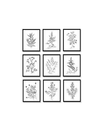 PLAKATY DO KUCHNI zioła botaniczne grafiki, black dot studio