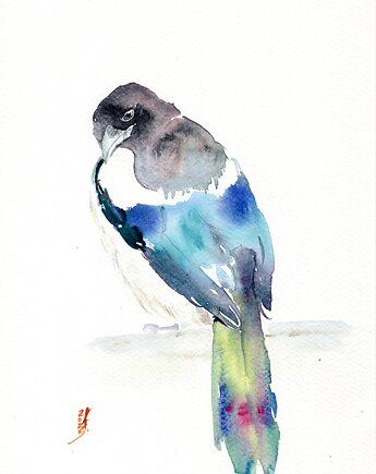 Oryginalna akwarela. Sroka, alquadro