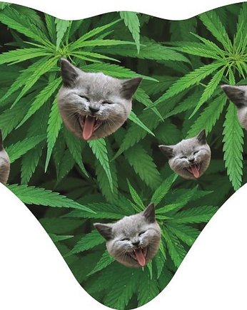 Maska FUN MASK ANGRY CATS, hauer