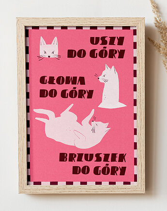 Plakat Kotki do góry, Ranny Ptaszek