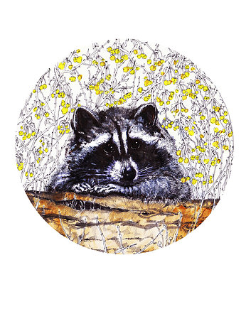 Zamyślony szop- Plakat- Grafika - Ilustracja na ścianę, BOSKE