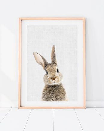Plakat Zajączek - Plakat do pokoju dziecka, LOVINA PRINTS