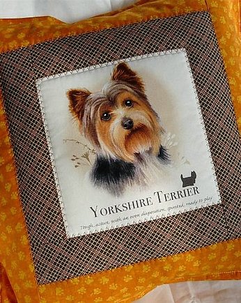 Seria PUPIL: Yorkshire Terrier, Gazynia