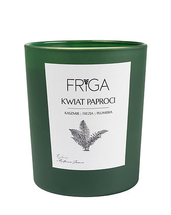 Kwiat Paproci, FRIGA