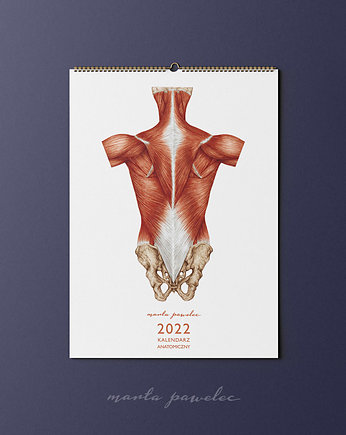 Kalendarz Anatomiczny 2022, Marta Pawelec Medical Art