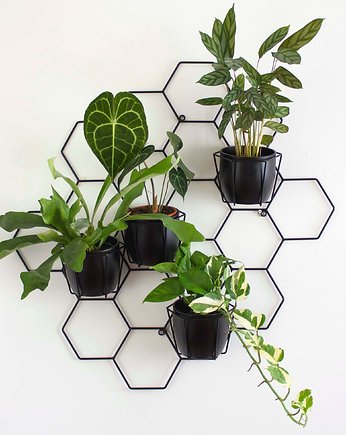 Kwietnik ONYX, hexal design