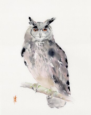 Oryginalna akwarela. Puchacz, alquadro