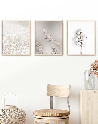 Zestaw 3 plakatów Białe Kwiaty Trawy Bawełna Natura, Futuro Design