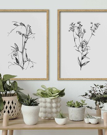 Zestaw dwóch grafik botanicznych 30x40, beata sketches