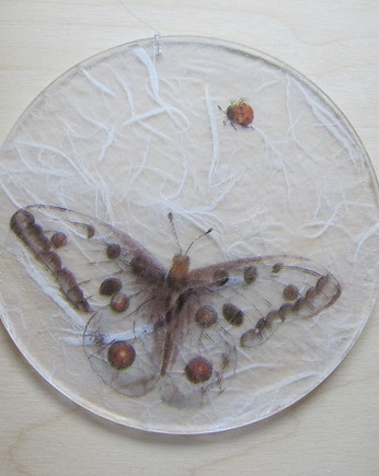 Motyl, Iwona Rutkowska