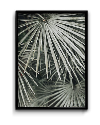 Plakat Botanic #3, Bury Lis