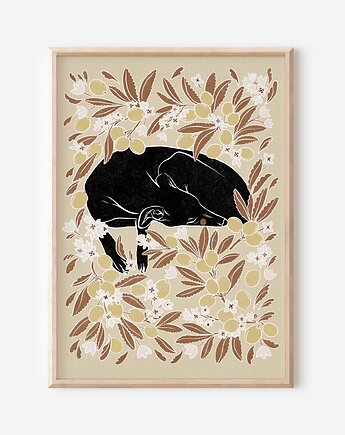 Plakat - Charcik w oliwkach, Mint In Paper