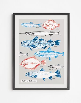 Plakat Ryby Bałtyckie, LOVE POLAND DESIGN