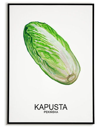 Plakat  GRAFIKA KAPUSTA PEKIŃSKA warzywa ZIOŁA, Bajkowe Obrazki