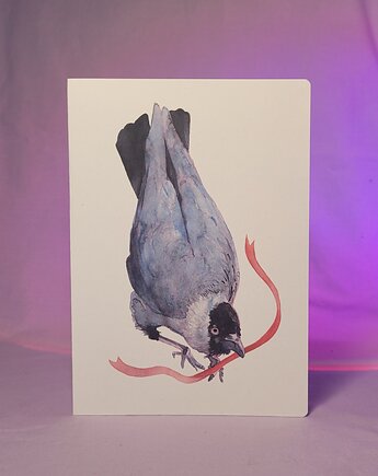 Kawka / kartka okolicznościowa A5, zazula