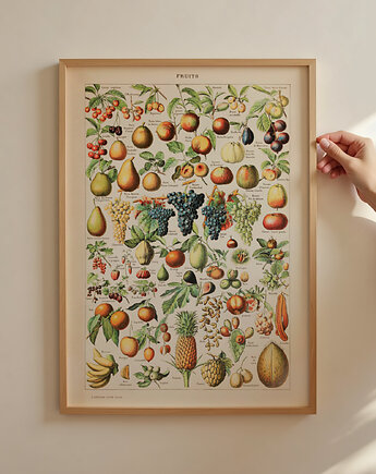 Grafika Fruits (reprint), Follygraph