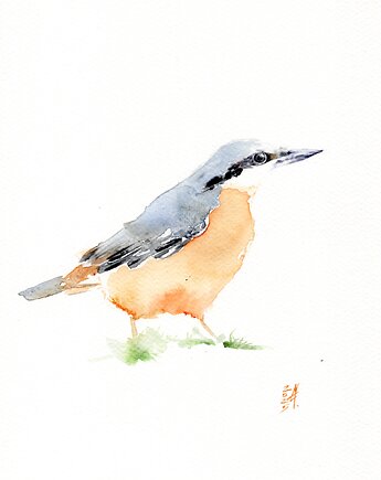 Oryginalna akwarela. Kowalik, alquadro