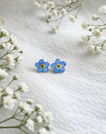 Blask Natury projektant