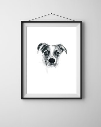 Portret psa Nr 1- rysunek w formie plakatu A3, wydruk pigmentowy, Anka Bednarz
