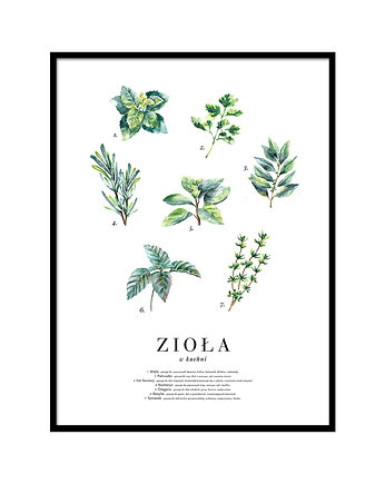 Plakat - Zioła w kuchni, lemonducky