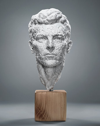 Portret David'a Bowiego, Marta Cierluk