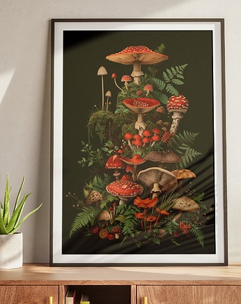 Plakat Grzybobranie - Muchomory, DAPIDOKA
