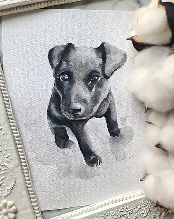 Akwarela pieski, Wiktoria Borys Art