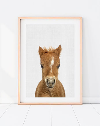 Plakat Koń - Plakat do pokoju dziecka, LOVINA PRINTS