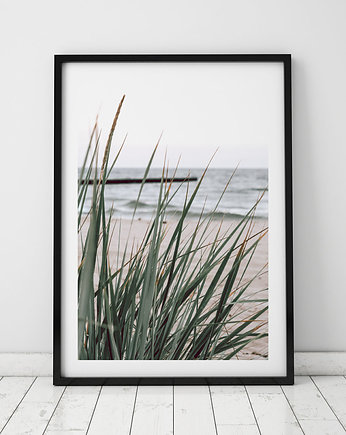 Plakat Morskie klimaty, COLORMINT