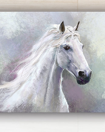 Obraz - Biały koń - wydruk na płótnie, yenoo