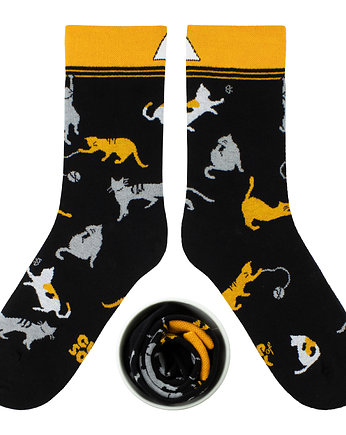 Pieszczochy, CUP of SOX