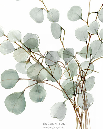 Eucalyptus print, Margo Hupert