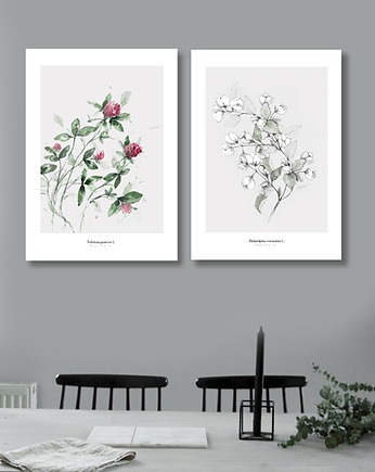 Koniczyna & Jaśminowiec / zestaw, Margo Hupert