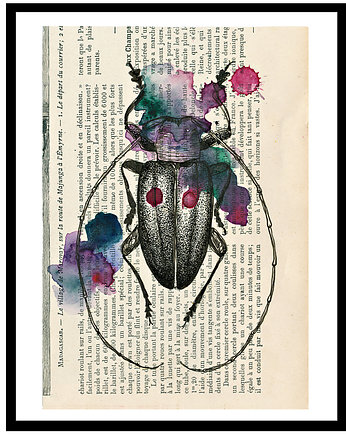 Cylindorthorax 42x30 cm, A3, JUST ILUST Justyna Małczak
