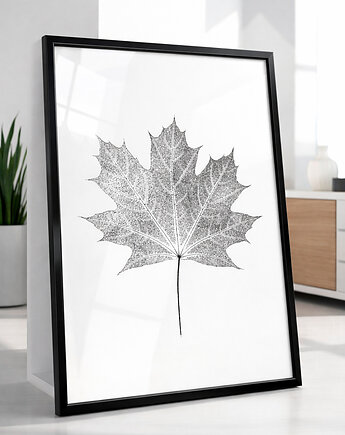 Plakat Botaniczny Liść Klonu. Minimalistyczna Dekoracja Ścienna. Grafika, Kuźnia Obrazów