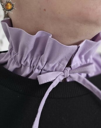 Kołnierzyk fioletowy, Rzecz w Tym