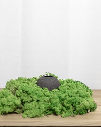 Wazon - kuro koishi, fright.studio